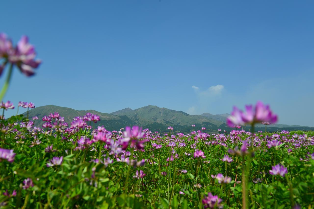 Shikino Mori Hotel Aso Cameră foto